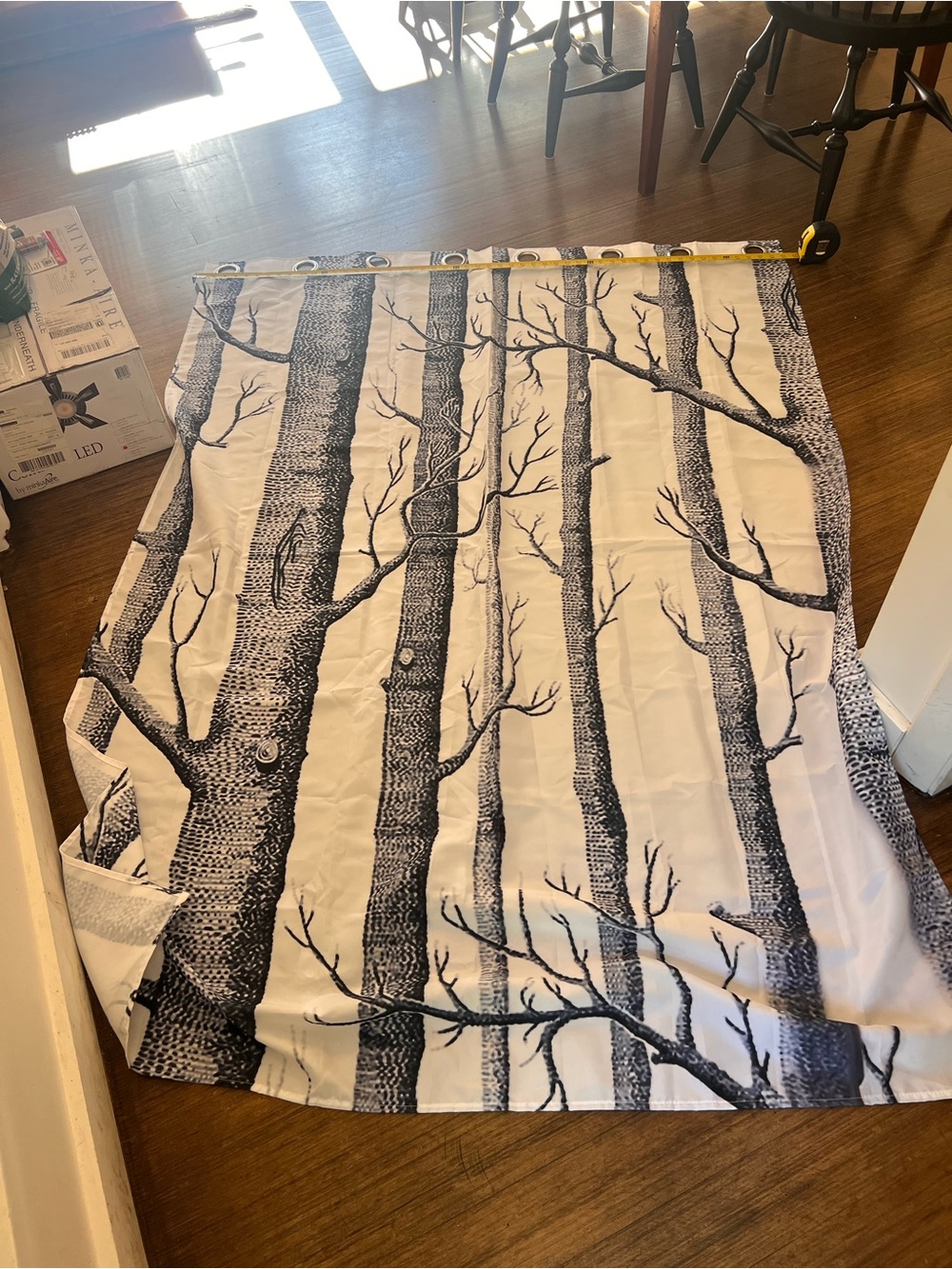 Birch Aspen Tree Print polyester shower curtain - Black and White Cole & Sons